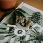 Marijuana buds, a rolled joint, and a cannabis leaf rest on a book with cannabis illustrations.