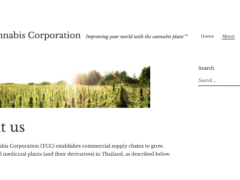 Thai Cannabis Corporation website with image of cannabis plants in a field, promoting medicinal cannabis licenses in Thailand.