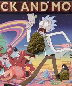 Rick Sanchez cartoon character holding a small white box, with a large bud of marijuana, on a rolling tray.