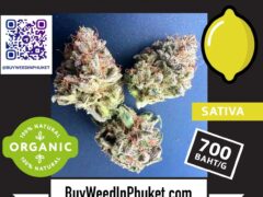 Early Lemon Berry sativa cannabis flower, organic and natural, for sale at BuyWeedInPhuket.com, price 700 baht/g.