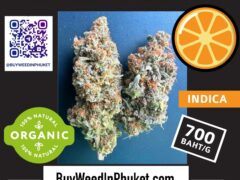 Mandarin Sunset Indica cannabis flower from Buy Weed in Phuket, organic weed delivery service in Phuket, Thailand.
