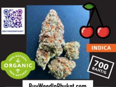 Cherry Gar See-Ya Indica cannabis flower from Buy Weed in Phuket, organic marijuana delivery in Phuket, Thailand.