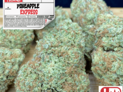 STONERTHING cannabis with Pineapple Express strain, Rangsit U / Donmueang, Thailand. High quality cannabis, weed shop.