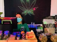 Cannabis Corner - Koh Phangan