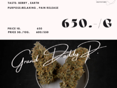 Milkyway.bkk Grand Daddy P cannabis flower, berry earth taste, pain release and relaxing. Bonchon The Nine Rama 9, Bangkok, Thailand.