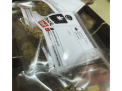 Cannabis flower from STONERTHING, Rangsit U / Donmueang, Bangkok, Thailand.