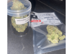 Cannabis flower, 