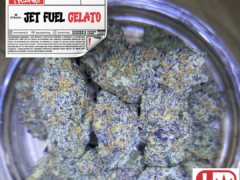 STONERTHING cannabis: Close-up of Jet Fuel Gelato cannabis flower in a jar. Contains THC.