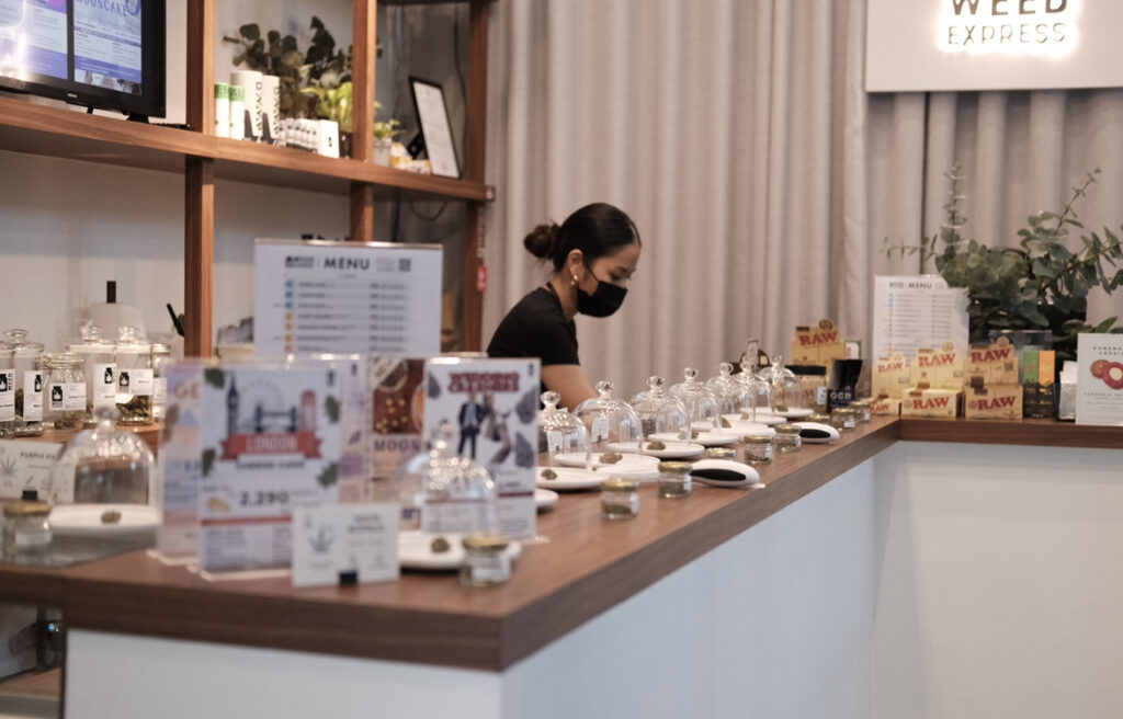 Woman behind a counter wearing a mask, at a cannabis shop, with product samples under glass domes. 
