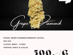 Milkyway.bkk Grape Diamond cannabis flower, 25% THC, Berry and Citrus flavor, for party and chilling, in Bangkok, Thailand.