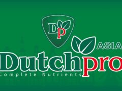 DutchPro Asia logo with green background, including text about complete nutrients.