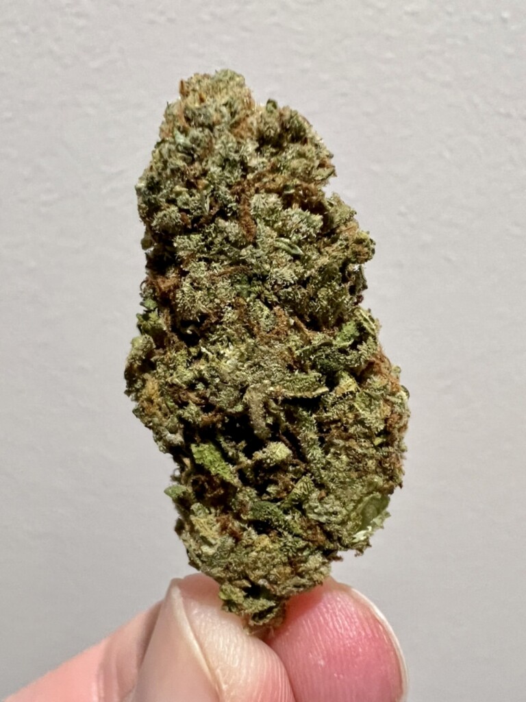 A dense, green and brown cannabis bud held between fingers against a white background.