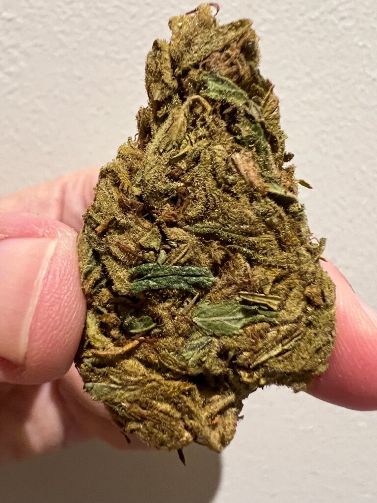 A person's fingers holding a dense, green and brown cannabis bud with visible trichomes and leaves, against a white background.