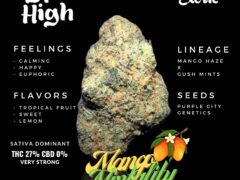HYPER HIGH cannabis Mango Mintality strain, a sativa flower from this Bangkok dispensary, THC 27%, flavors of tropical fruit and lemon.