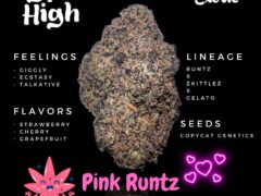 Hyper High Bangkok: Exotic Pink Runtz cannabis flower (28% THC). Hybrid strain.