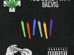 Cannabis leaf graphic, rolling joint illustration, and colorful joints. Parental advisory content.
