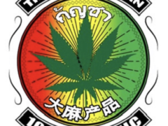 The Old Weed Man's cannabis logo in Pattaya, Thailand. 100% Organic.