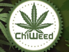 Chiweed logo with cannabis leaf, Chiang Rai weed shop.