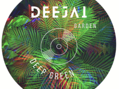 Deejai logo with 
