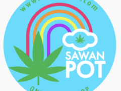Sawan Pot online pot shop logo with cannabis leaf and rainbow, Chiang Mai, Thailand.