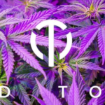 The OT Dispensary