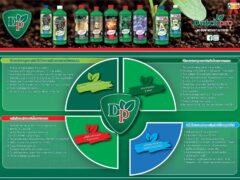 DutchProasia product guide for plant nutrients and growth tips.