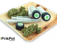 Cannabis flower, pre-rolled joints, and accessories from PrikPot Cafe, Chiang Mai, Thailand.