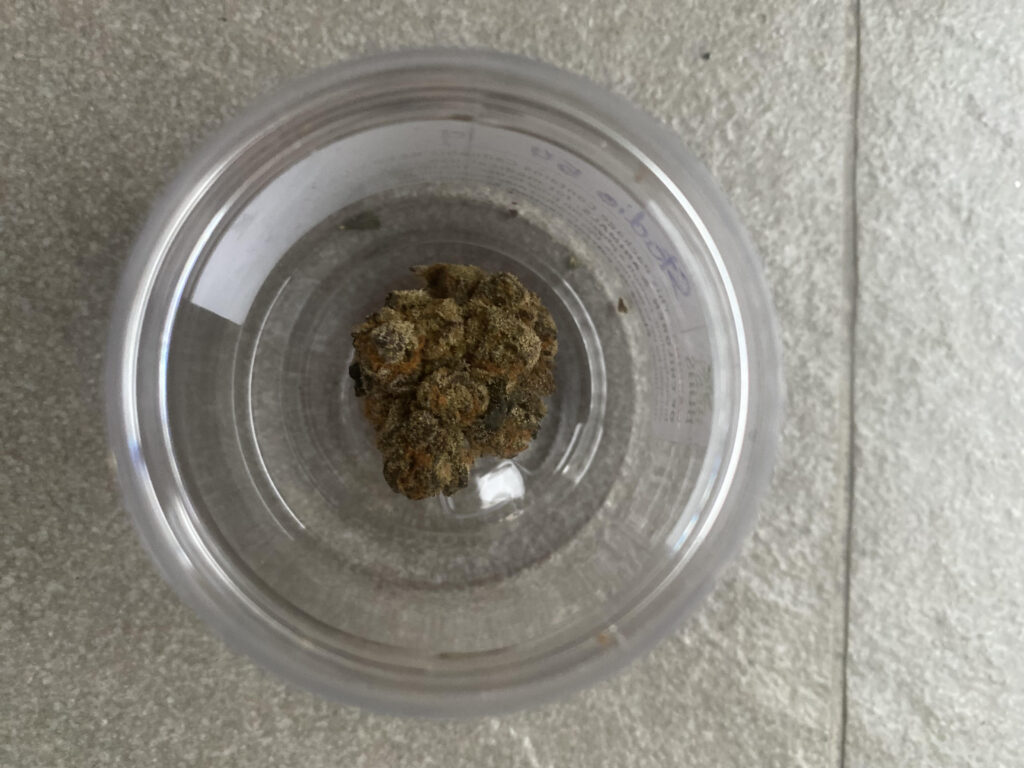 A bud of cannabis in a clear plastic container, on a grey surface.
