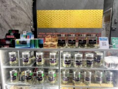 Shelves of cannabis flower jars, labeled strains at Candyz dispensary in Nakhon Ratchasima, Thailand.