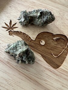 Two cannabis buds on a wooden tray with an etched elephant and marijuana leaf.