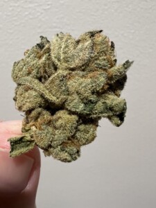A hand holding a dense cannabis bud with green, tan, and white trichomes against a white background.