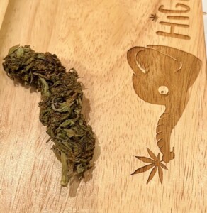 A cannabis bud on a wooden tray with a laser-etched elephant holding a marijuana leaf.
