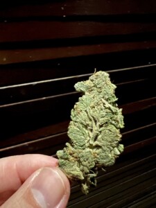 A hand holding a dense, green cannabis bud against a dark, slatted background.