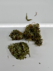 Three cannabis buds with green and brown coloration, and several small leaves on a white surface.