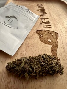 A bud of cannabis next to a bag labeled 