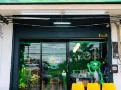 Exterior of Weed World Thailand dispensary in Si Racha-Chonburi, with logo, alien statue, yellow chairs. Cannabis shop.