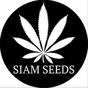 Siam Seeds logo: white cannabis leaf graphic within a black circle, 