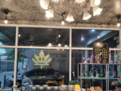 Interior of Khonkaen Weed dispensary in Sila, Khon Kaen, Thailand. Jars of cannabis flower and smoking accessories displayed.