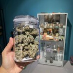 PJB Weed Aholic