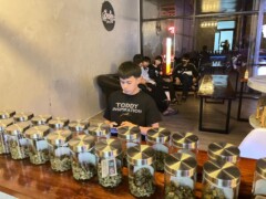 CANDYZ cannabis dispensary in Kantharalak, Si Sa Ket, Thailand. Jars of cannabis flower on display.