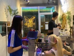 Inside CANN A BLISS HOSTEL in Sukhumvit, Bangkok, staff preparing cannabis flowers.