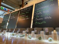 Harweed moon Bud Dispensary cannabis flower strains (Godfather OG, King Kush, Purple Punch etc.) in Huai Khwang, Bangkok.