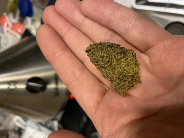 A hand holding a dense, green cannabis bud.
