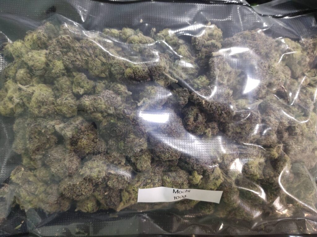 Mochi cannabis buds in a clear plastic bag with a label showing 