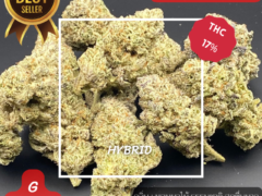 Peyote Gorilla cannabis flower, 17% THC, hybrid strain, available at Harweed Moon Online Shop in Samut Prakan, Thailand.