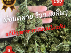 Power Berry CBD cannabis flower from Harweed Moon Online Shop in Thailand, showing a hand holding buds.