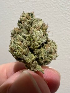A hand holding a green cannabis bud with visible trichomes, against a plain, light gray background.