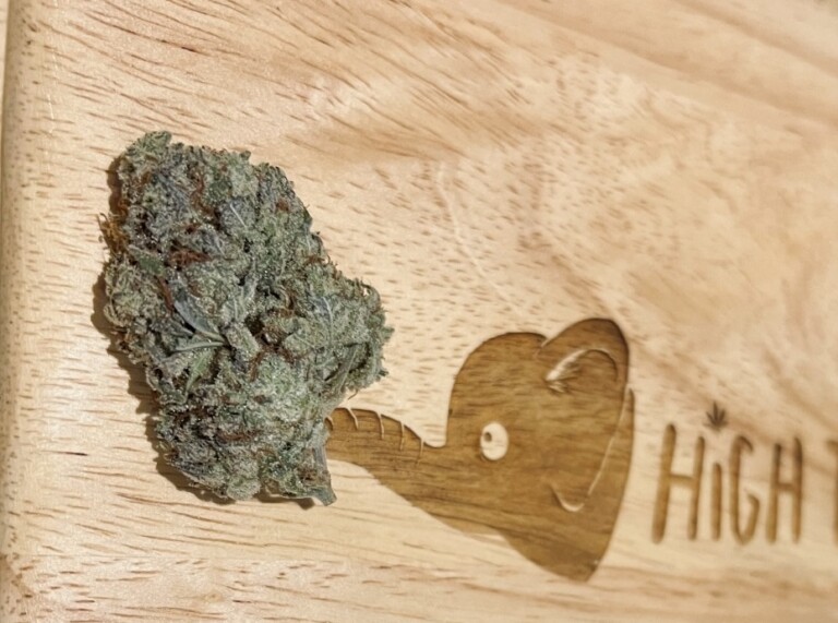 Cannabis bud on wooden cutting board with elephant logo and 
