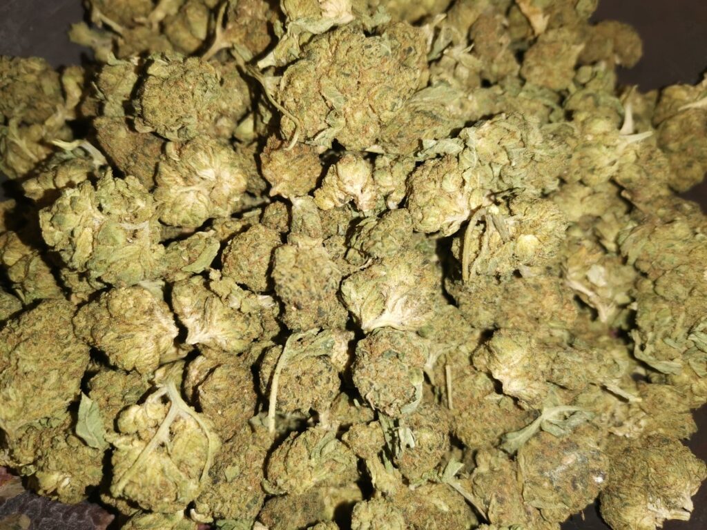 Pile of dried cannabis buds, green and brown in color, tightly packed together.