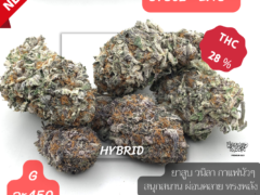 Oreoz *EXO* cannabis flower from Harweed Moon Online Shop in Thailand, showing THC 28%.